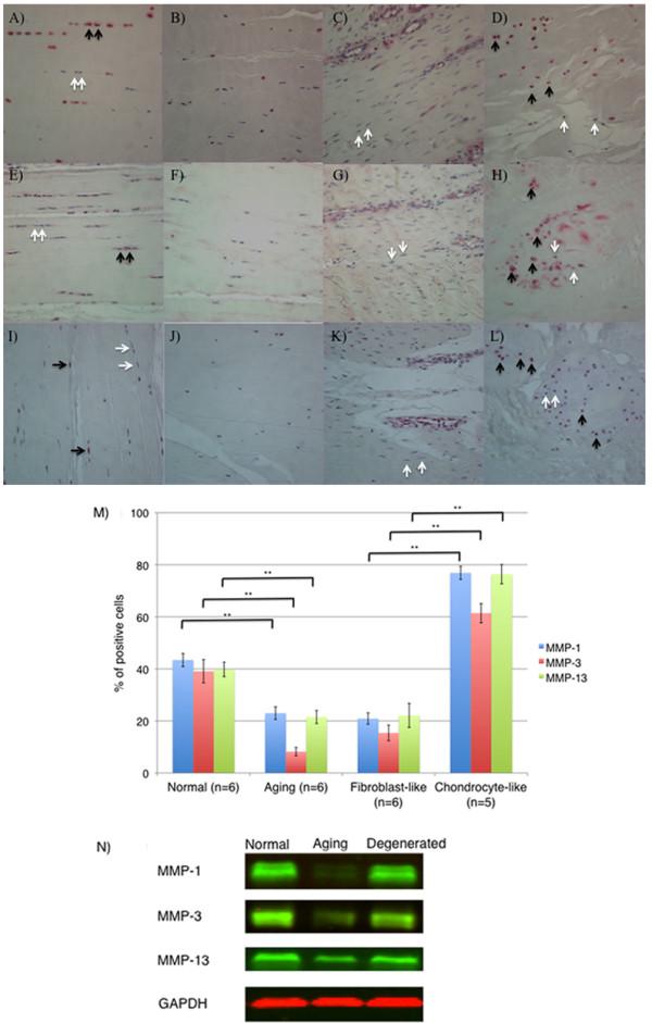 https://cdn.ncbi.nlm.nih.gov/pmc/blobs/372f/3672799/af5779707d02/ar4165-4.jpg