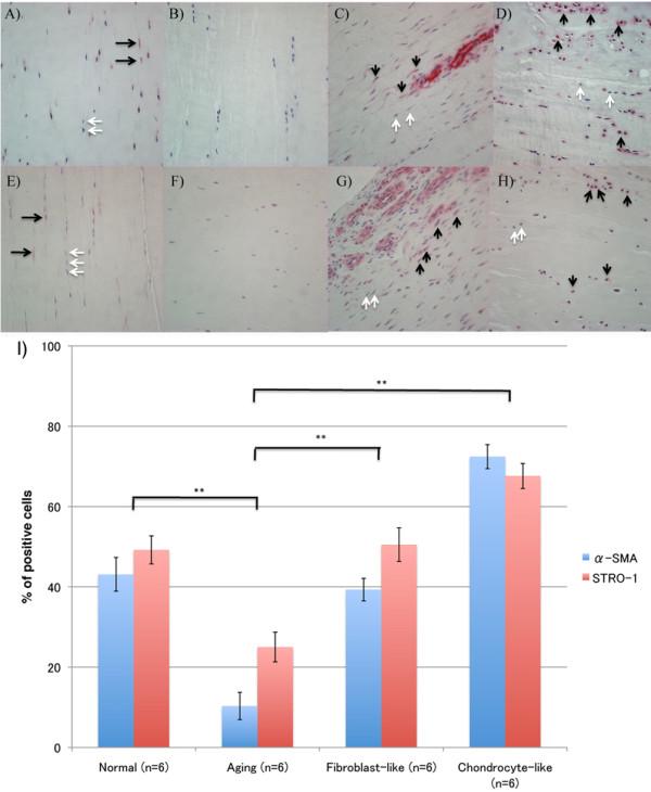 https://cdn.ncbi.nlm.nih.gov/pmc/blobs/372f/3672799/b579991efc67/ar4165-3.jpg