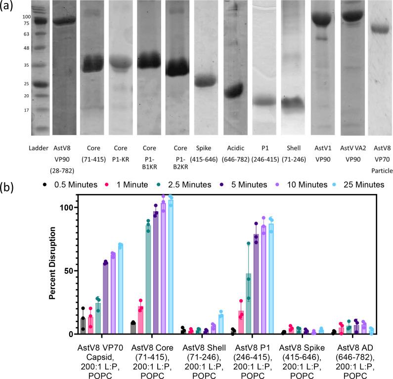 https://cdn.ncbi.nlm.nih.gov/pmc/blobs/3731/10506485/085d0becc608/jvi.00802-23.f004.jpg