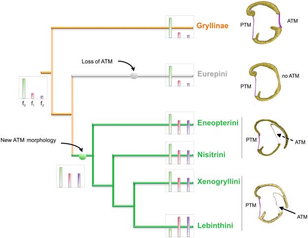https://cdn.ncbi.nlm.nih.gov/pmc/blobs/3731/5681576/6471dcd475f9/41598_2017_15282_Fig7_HTML.jpg