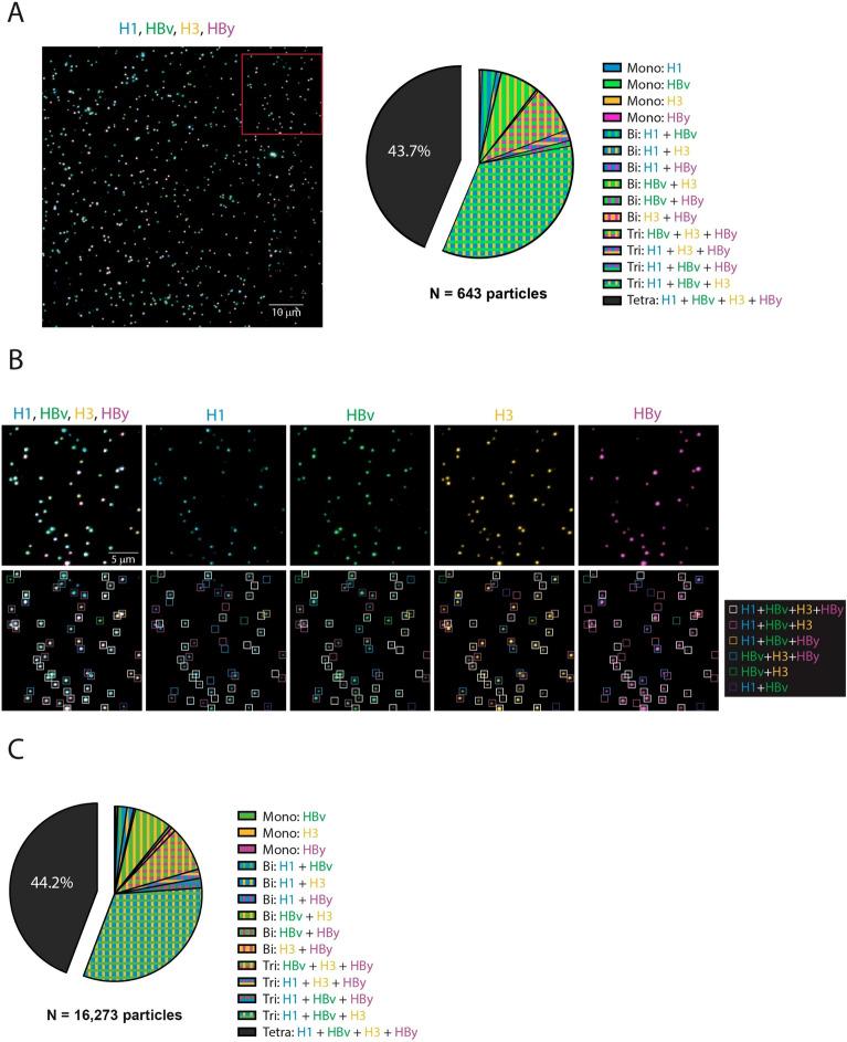 https://cdn.ncbi.nlm.nih.gov/pmc/blobs/3735/10894272/04ce9794f1eb/41598_2024_54876_Fig4_HTML.jpg