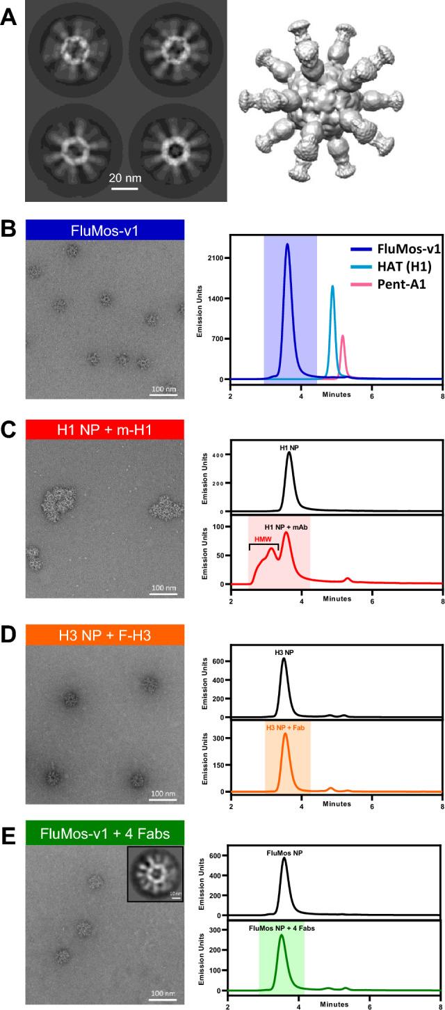 https://cdn.ncbi.nlm.nih.gov/pmc/blobs/3735/10894272/14d05c0b6fb2/41598_2024_54876_Fig1_HTML.jpg