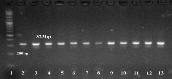 https://cdn.ncbi.nlm.nih.gov/pmc/blobs/3738/12295529/e0252d44be00/vrf-16-317-g003.jpg