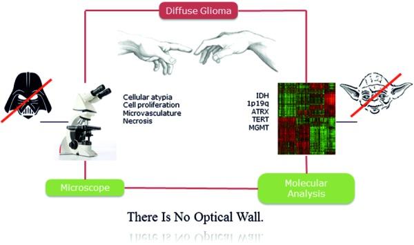https://cdn.ncbi.nlm.nih.gov/pmc/blobs/3738/5312234/46579b3a3354/clinneuropathol-36-005-01.jpg