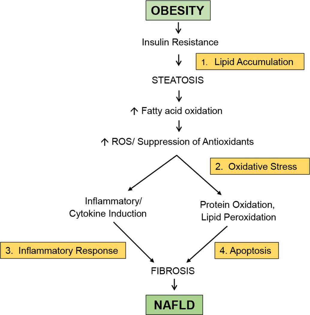 https://cdn.ncbi.nlm.nih.gov/pmc/blobs/3739/4866601/fef0bc45737c/nihms769438f1.jpg