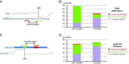 https://cdn.ncbi.nlm.nih.gov/pmc/blobs/3739/5740635/b52fb4b42178/pnas.1711979114fig06.jpg