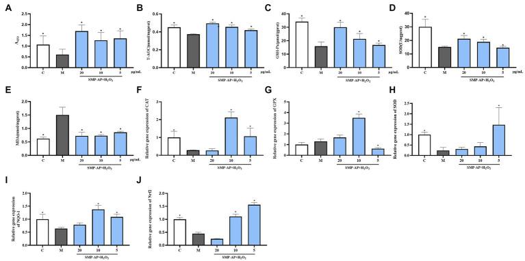 https://cdn.ncbi.nlm.nih.gov/pmc/blobs/373a/10244596/d7f6554cd977/fnut-10-1183096-g006.jpg