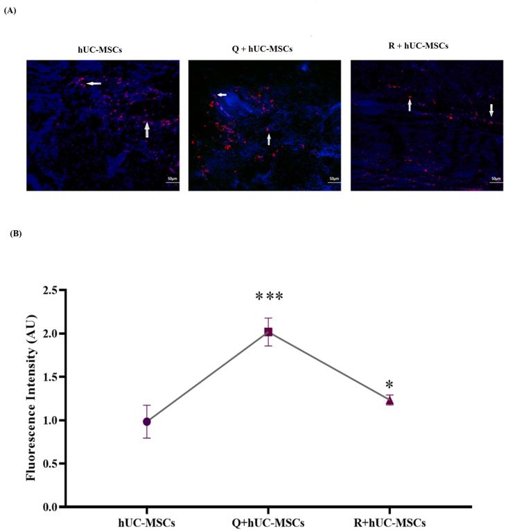 https://cdn.ncbi.nlm.nih.gov/pmc/blobs/373b/9420879/3c0238b81e8d/gr3.jpg