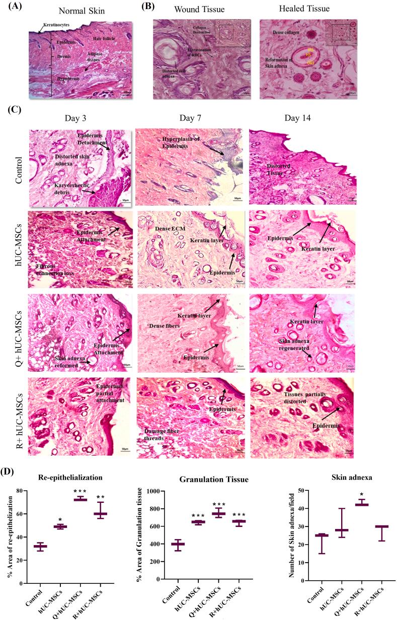 https://cdn.ncbi.nlm.nih.gov/pmc/blobs/373b/9420879/dac57d9fd2b0/gr5.jpg