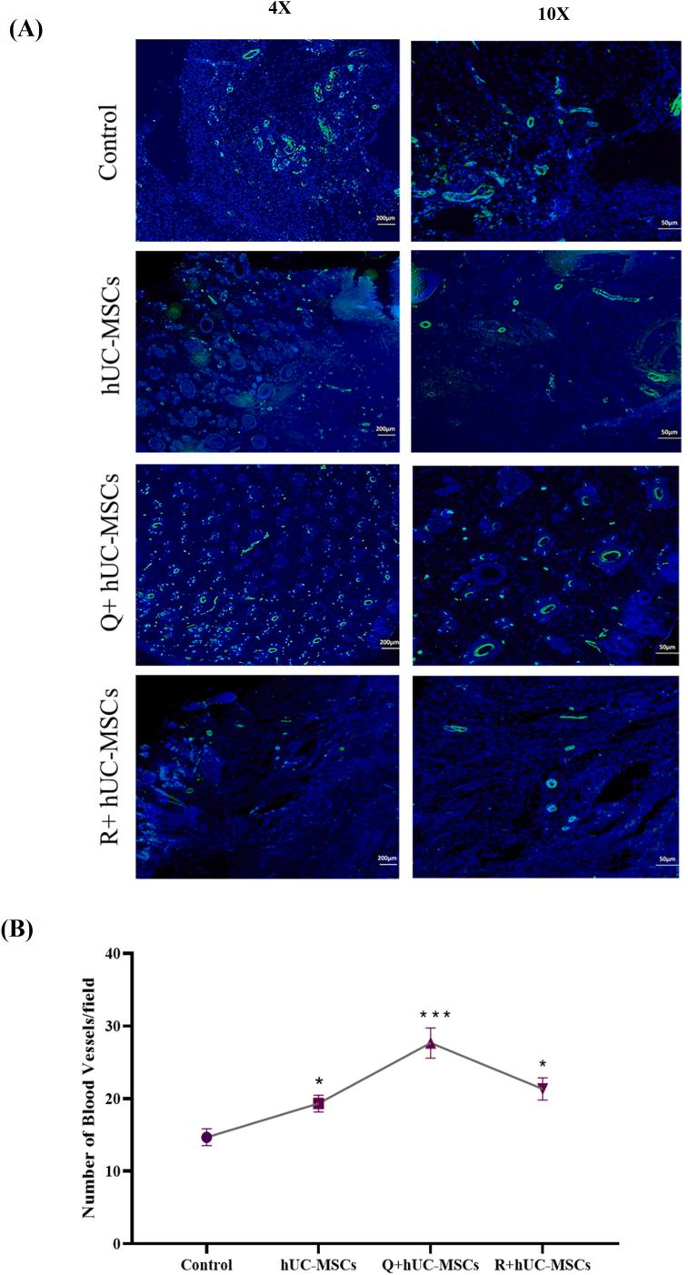 https://cdn.ncbi.nlm.nih.gov/pmc/blobs/373b/9420879/ff95ee274ea9/gr6.jpg