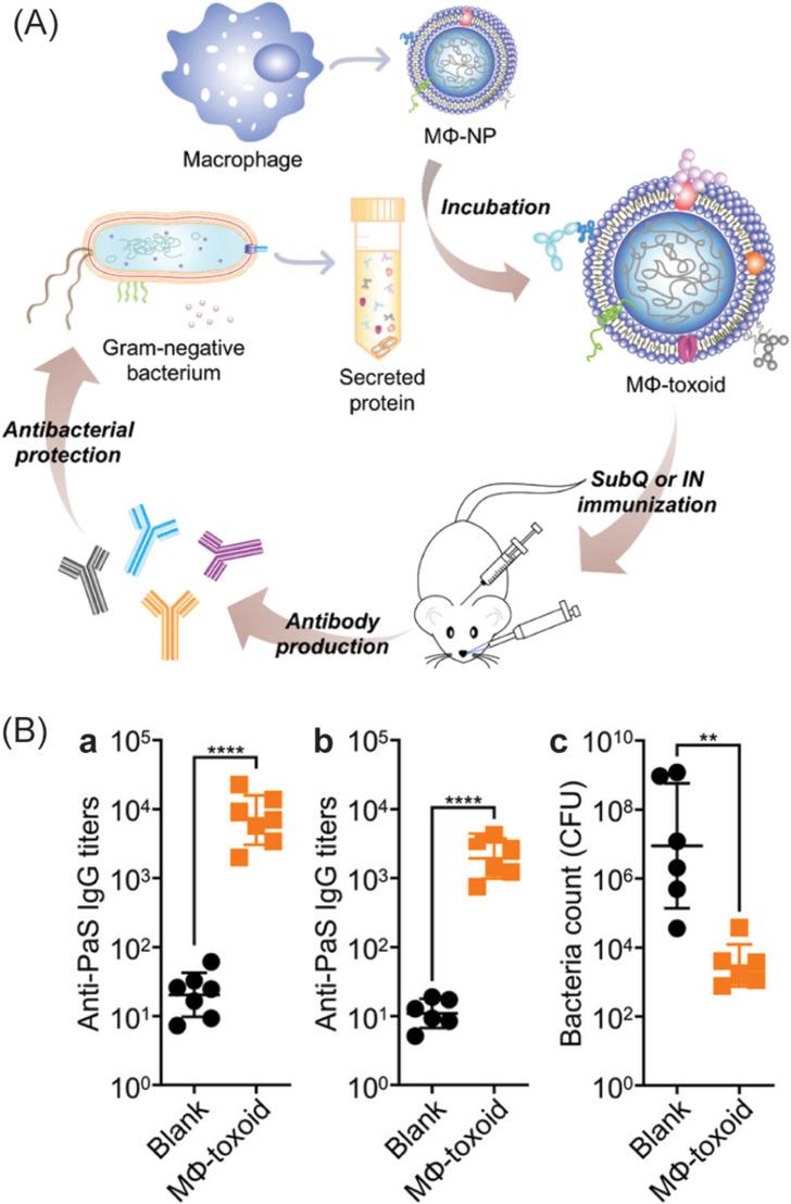 https://cdn.ncbi.nlm.nih.gov/pmc/blobs/373c/7834201/f9d758fb4b29/gr8_lrg.jpg