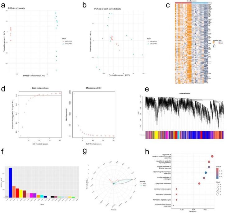 https://cdn.ncbi.nlm.nih.gov/pmc/blobs/373d/11685593/eb94b551f97f/41598_2024_82885_Fig3_HTML.jpg