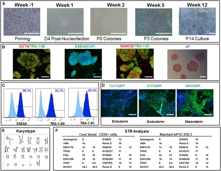 https://cdn.ncbi.nlm.nih.gov/pmc/blobs/373d/4624993/186e48b3cd4e/gr3.jpg