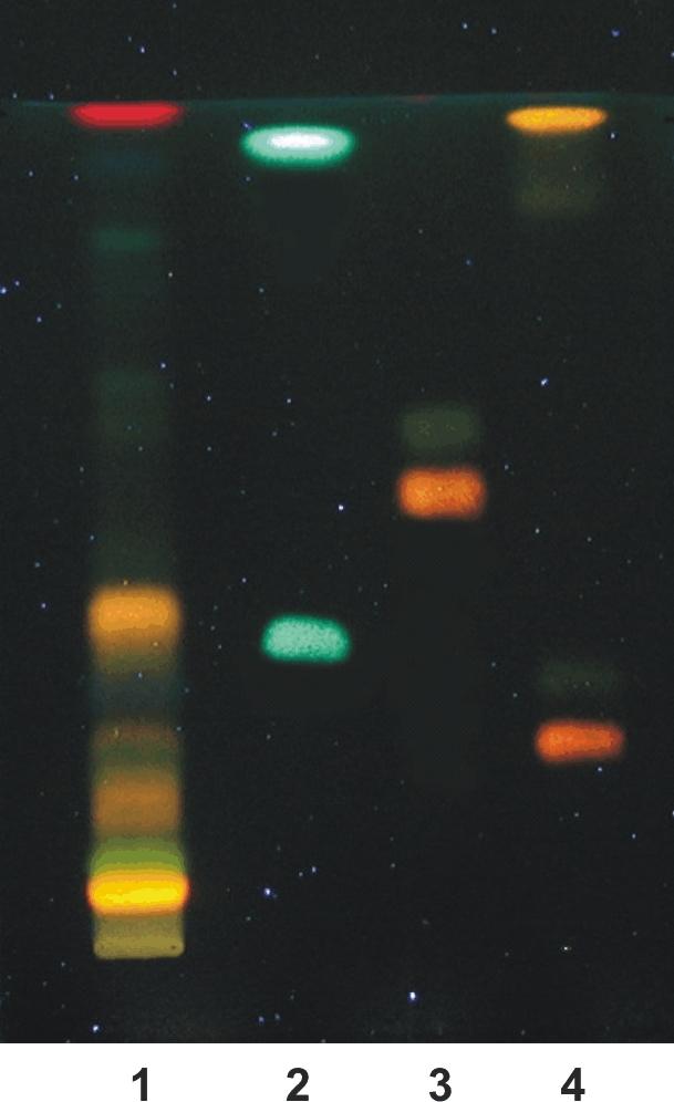 https://cdn.ncbi.nlm.nih.gov/pmc/blobs/373e/3994679/485776a39b52/CHSJ-38-2-080-fig1.jpg