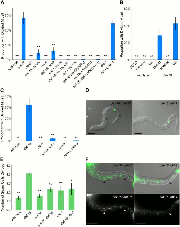 https://cdn.ncbi.nlm.nih.gov/pmc/blobs/373e/4676721/d39109ec62be/pgen.1005731.g003.jpg