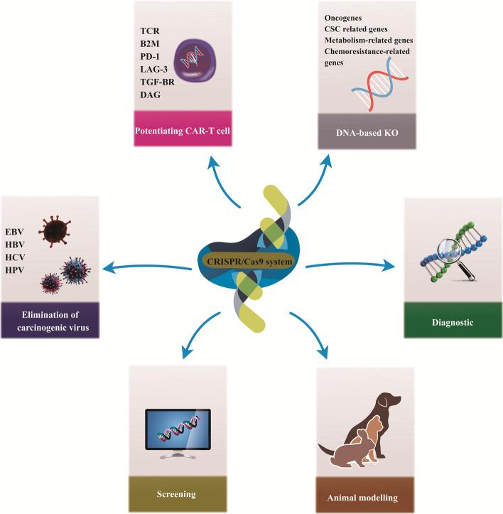 https://cdn.ncbi.nlm.nih.gov/pmc/blobs/373f/9066929/f56223d3c939/11658_2022_336_Fig2_HTML.jpg