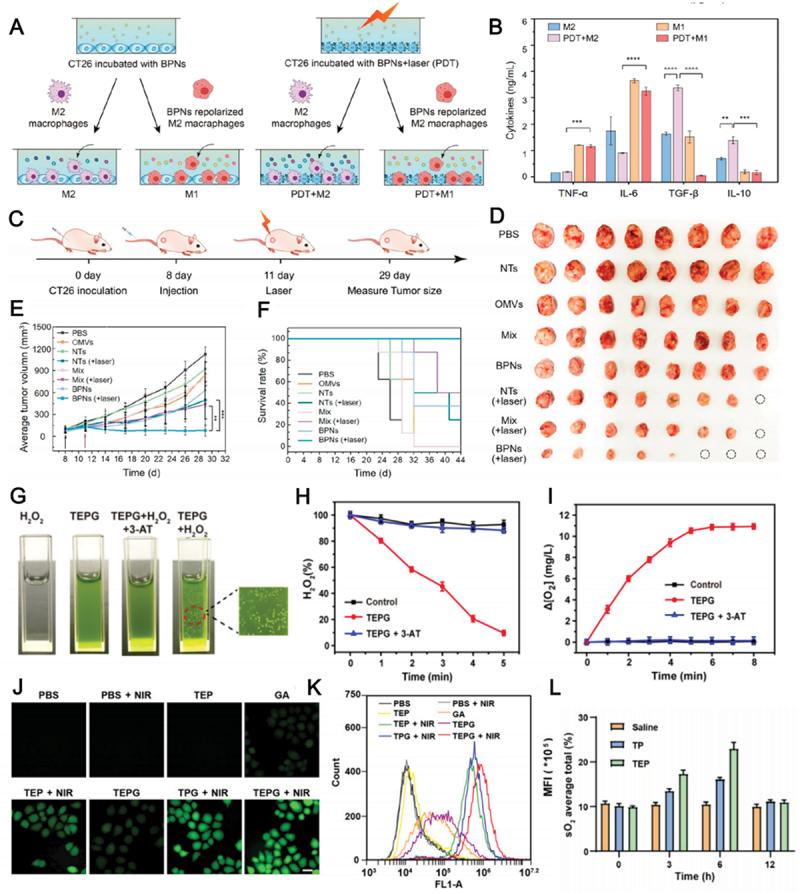 https://cdn.ncbi.nlm.nih.gov/pmc/blobs/3741/12333001/003590132ea2/TSTA_A_2537000_F0010_OC.jpg