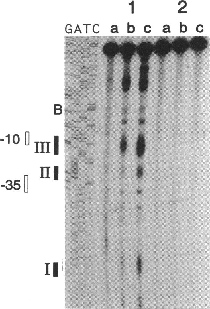 https://cdn.ncbi.nlm.nih.gov/pmc/blobs/3742/196304/b7d98891b892/jbacter00033-0319-a.jpg
