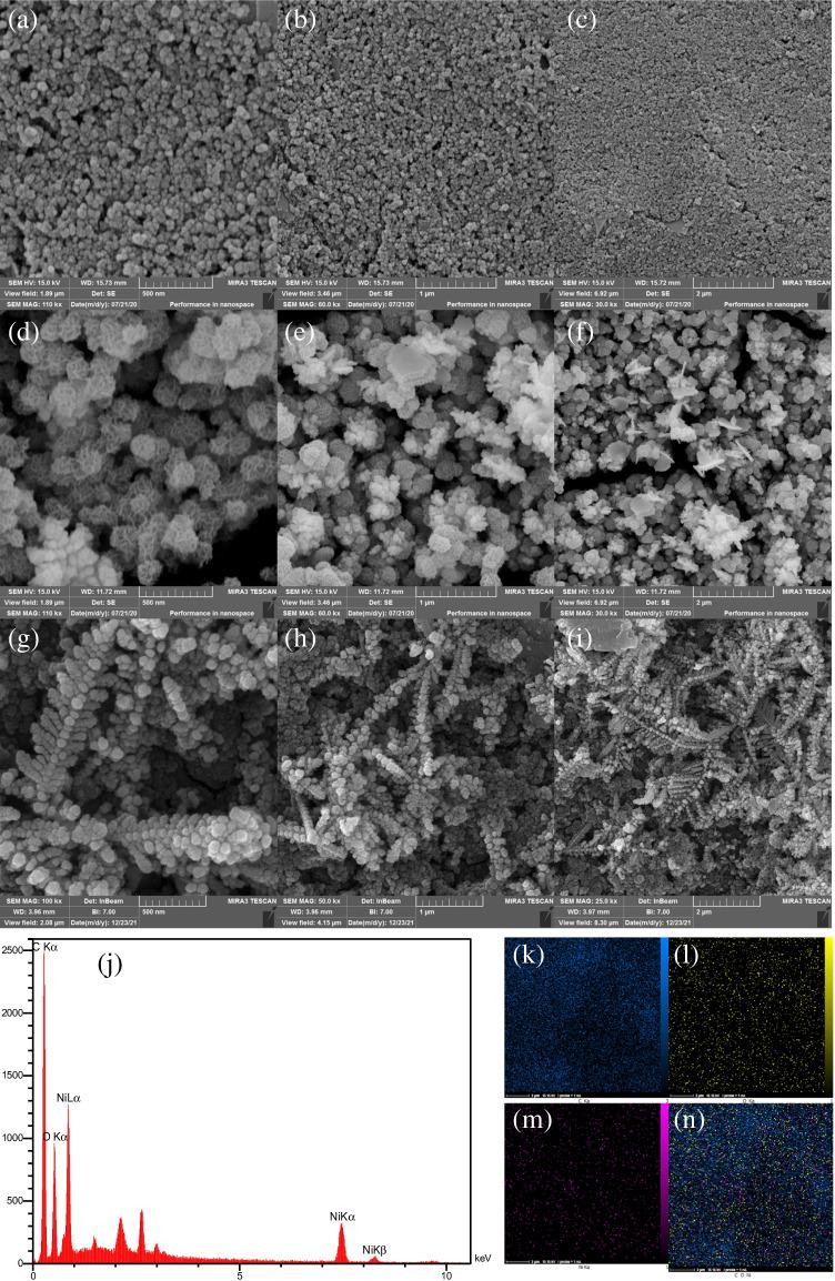 https://cdn.ncbi.nlm.nih.gov/pmc/blobs/3742/9295095/4e0b11f46d44/604_2022_5357_Fig1_HTML.jpg
