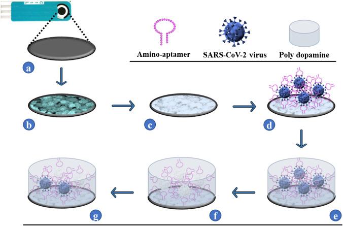 https://cdn.ncbi.nlm.nih.gov/pmc/blobs/3742/9295095/e06145a36471/604_2022_5357_Sch1_HTML.jpg