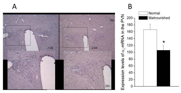 https://cdn.ncbi.nlm.nih.gov/pmc/blobs/3745/8230629/de571d3919d3/molecules-26-03568-g006.jpg