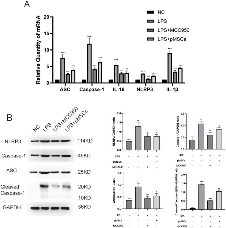 https://cdn.ncbi.nlm.nih.gov/pmc/blobs/3746/11604576/4b8e45801bf4/fimmu-15-1422355-g002.jpg