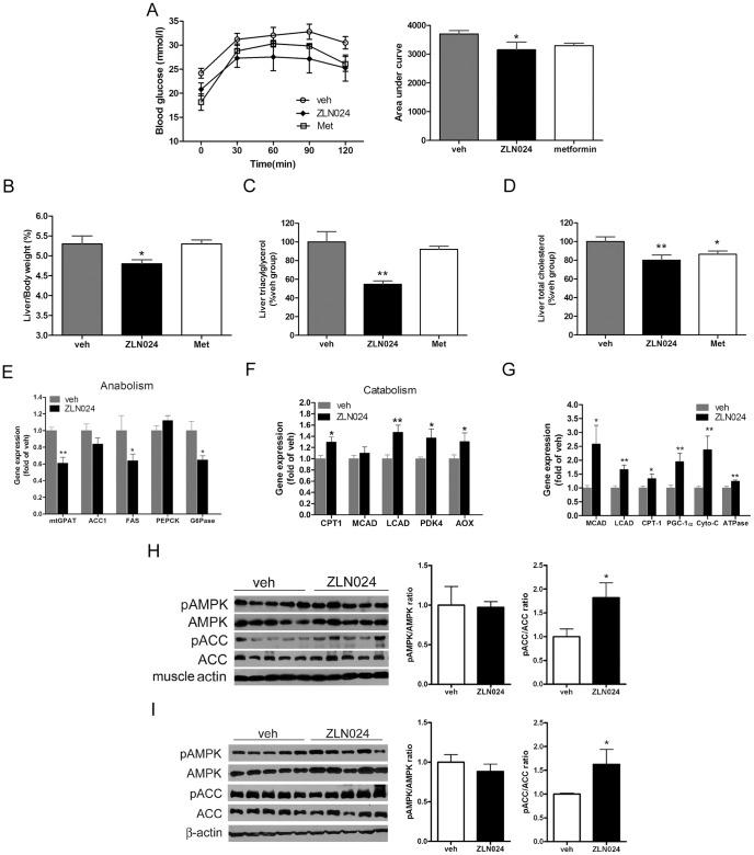 https://cdn.ncbi.nlm.nih.gov/pmc/blobs/3749/3748009/7c8dc75578c7/pone.0072092.g006.jpg