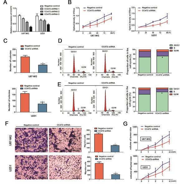 https://cdn.ncbi.nlm.nih.gov/pmc/blobs/374b/5348431/fa359f961ae9/oncotarget-07-81806-g002.jpg