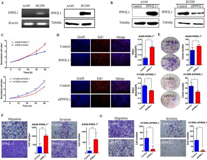 https://cdn.ncbi.nlm.nih.gov/pmc/blobs/374c/5774002/411cd2da3e09/CAM4-7-157-g002.jpg