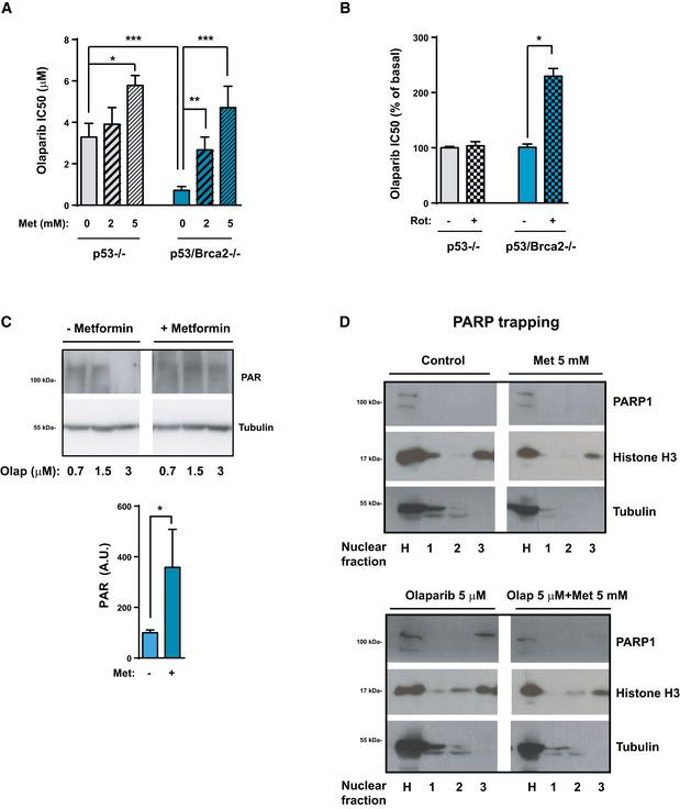 https://cdn.ncbi.nlm.nih.gov/pmc/blobs/374f/7278557/073d4c6e9358/EMMM-12-e11217-g012.jpg