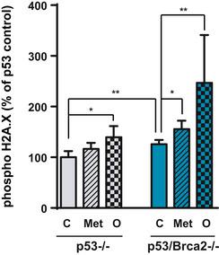 https://cdn.ncbi.nlm.nih.gov/pmc/blobs/374f/7278557/12853c8ea9ec/EMMM-12-e11217-g009.jpg