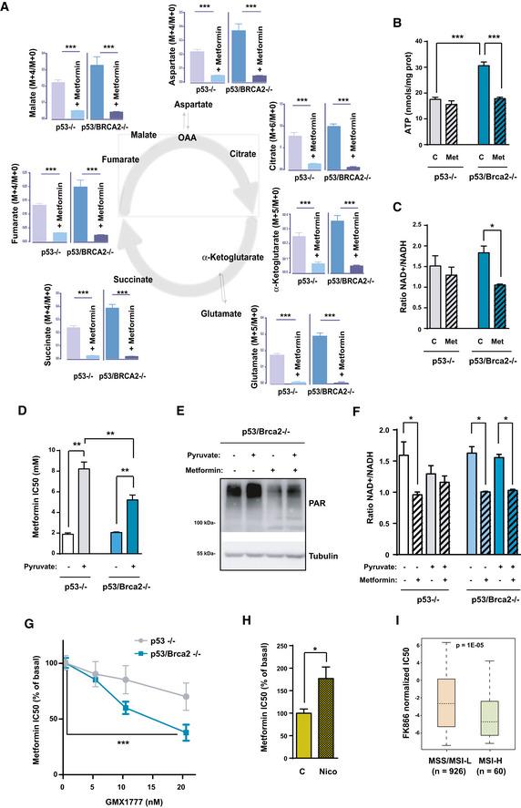 https://cdn.ncbi.nlm.nih.gov/pmc/blobs/374f/7278557/42285100994c/EMMM-12-e11217-g008.jpg