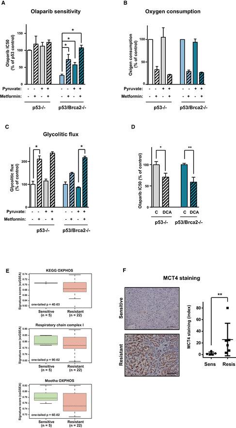 https://cdn.ncbi.nlm.nih.gov/pmc/blobs/374f/7278557/97905e9746af/EMMM-12-e11217-g013.jpg