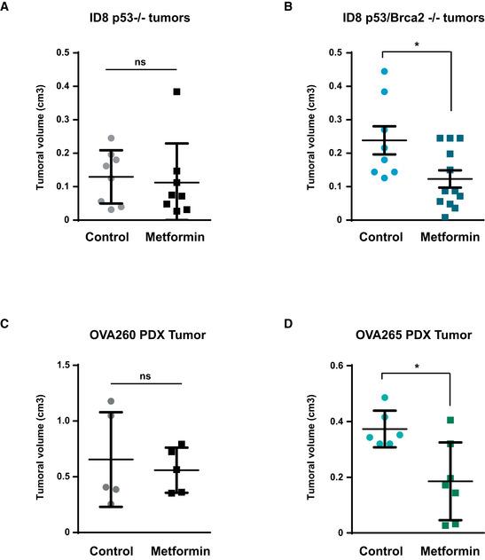 https://cdn.ncbi.nlm.nih.gov/pmc/blobs/374f/7278557/9b3977185dac/EMMM-12-e11217-g010.jpg
