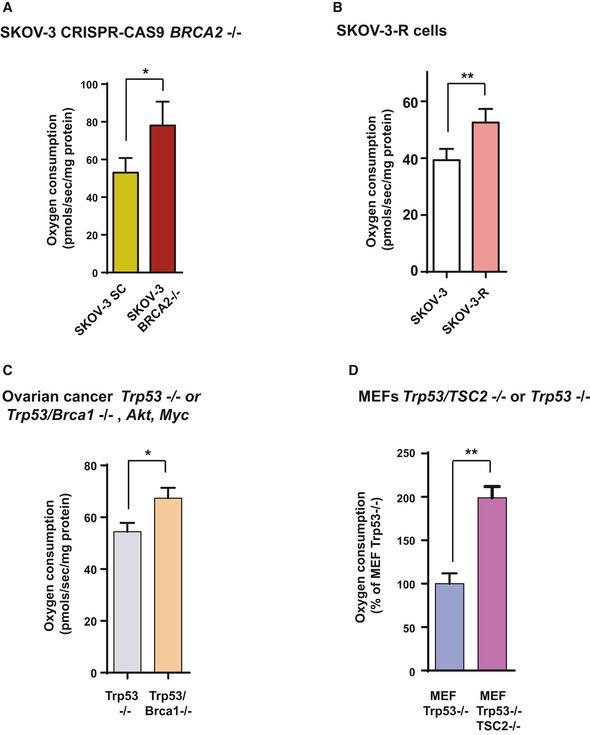 https://cdn.ncbi.nlm.nih.gov/pmc/blobs/374f/7278557/a1fbcbca6fa2/EMMM-12-e11217-g003.jpg