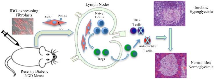 https://cdn.ncbi.nlm.nih.gov/pmc/blobs/3751/4713151/16c24abd9b9f/pone.0146970.g007.jpg