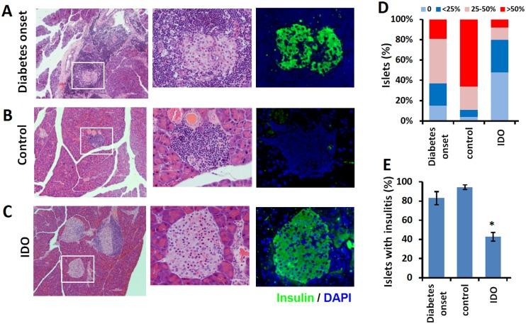 https://cdn.ncbi.nlm.nih.gov/pmc/blobs/3751/4713151/1e76d866aaa4/pone.0146970.g002.jpg