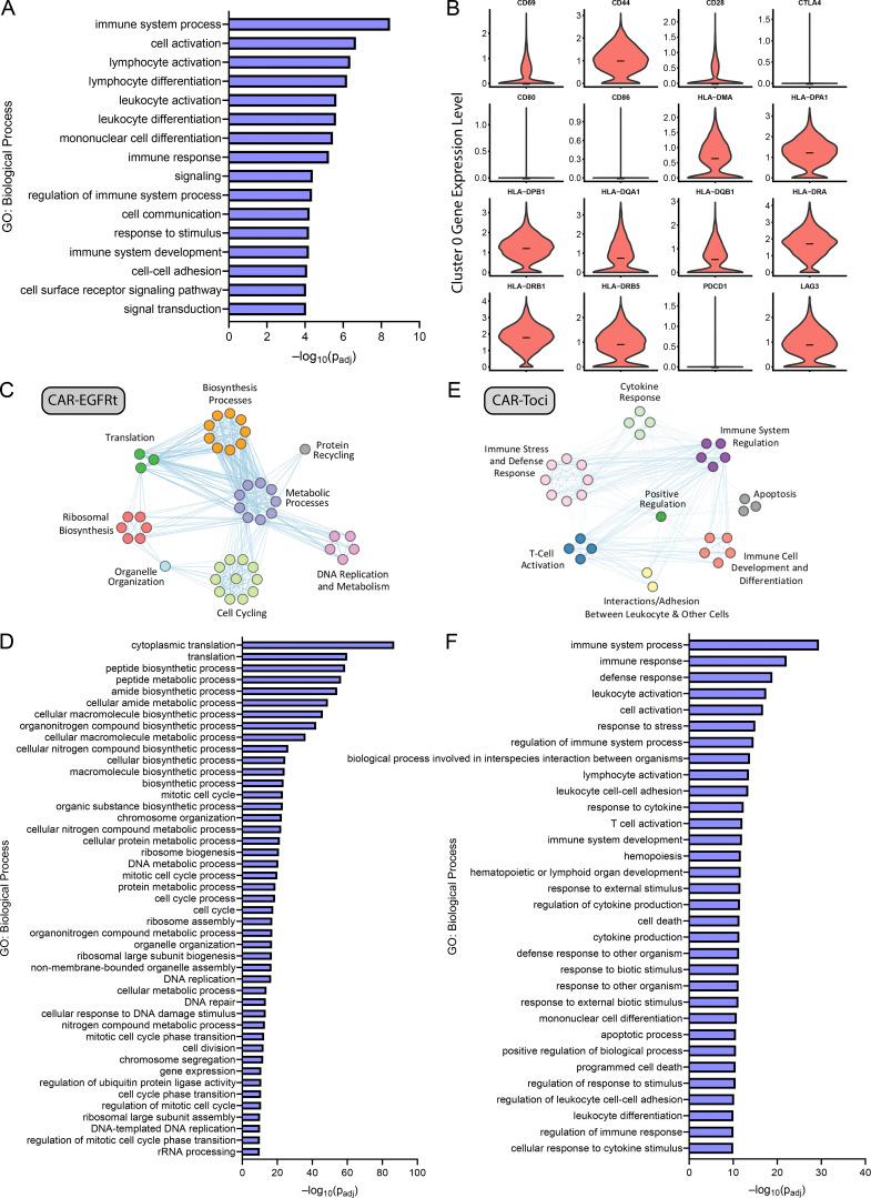 https://cdn.ncbi.nlm.nih.gov/pmc/blobs/3752/11010356/166a219b1921/JEM_20221988_Fig10.jpg
