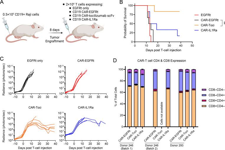 https://cdn.ncbi.nlm.nih.gov/pmc/blobs/3752/11010356/7d131c5c2cfa/JEM_20221988_Fig8.jpg