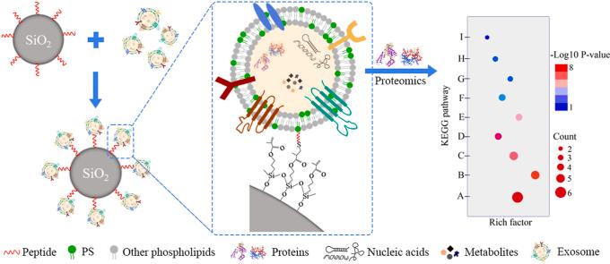 https://cdn.ncbi.nlm.nih.gov/pmc/blobs/3752/8935132/a63a7bb718b3/ga1.jpg