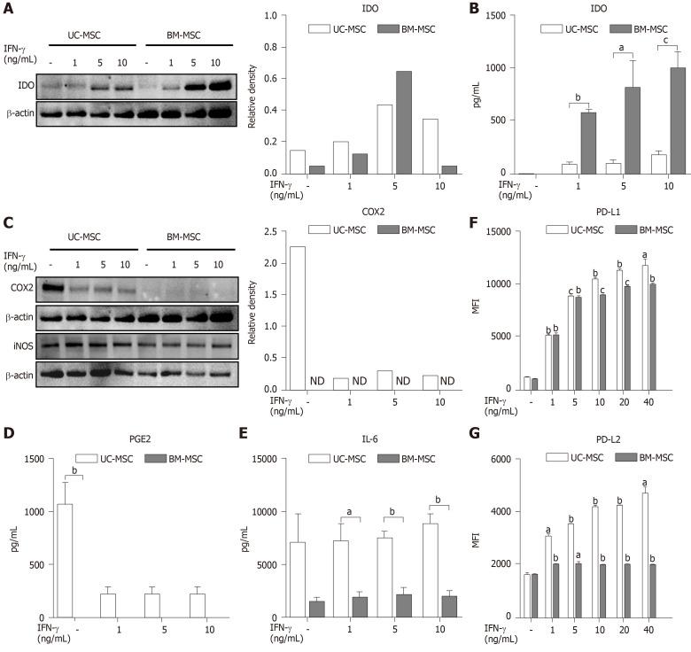 https://cdn.ncbi.nlm.nih.gov/pmc/blobs/3754/7524695/9743516b9135/WJSC-12-1032-g002.jpg