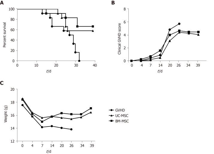 https://cdn.ncbi.nlm.nih.gov/pmc/blobs/3754/7524695/99391aa06145/WJSC-12-1032-g006.jpg
