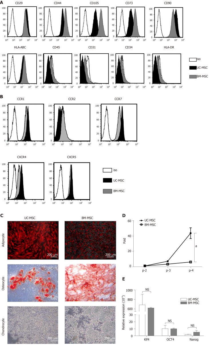 https://cdn.ncbi.nlm.nih.gov/pmc/blobs/3754/7524695/b7342a0972bb/WJSC-12-1032-g001.jpg