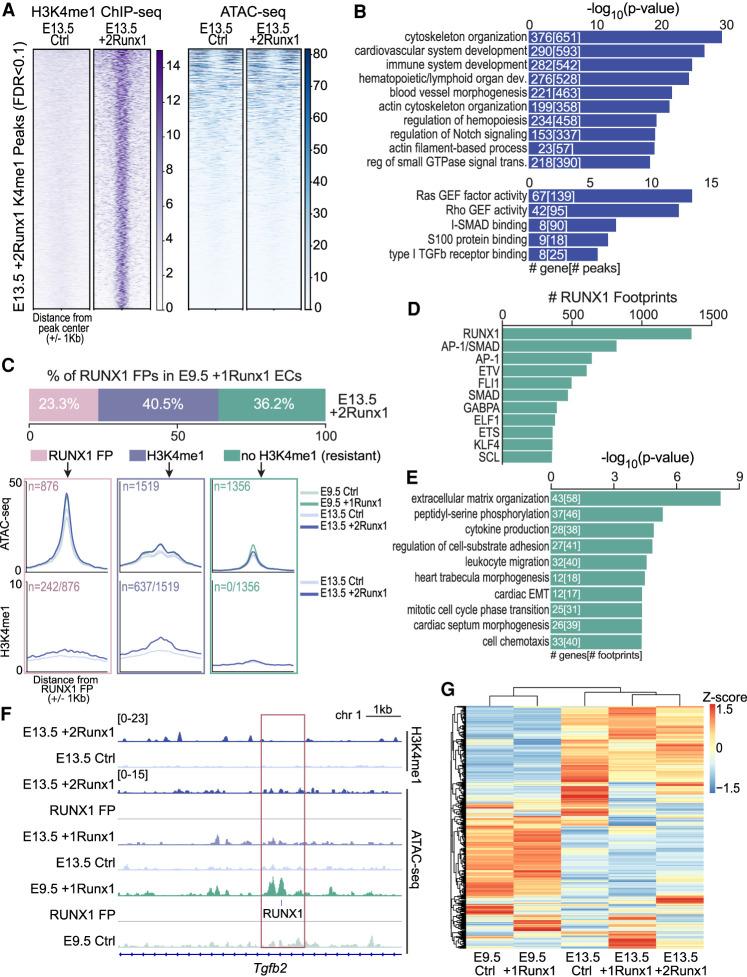https://cdn.ncbi.nlm.nih.gov/pmc/blobs/3755/8559682/e371fed1bff7/1475f06.jpg