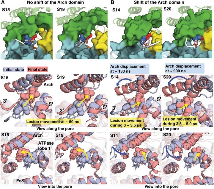 https://cdn.ncbi.nlm.nih.gov/pmc/blobs/3758/10711554/8d83d393c867/gkad974fig3.jpg