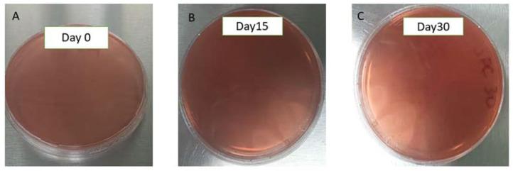 https://cdn.ncbi.nlm.nih.gov/pmc/blobs/3758/11946435/2a7e0ebba285/pharmaceuticals-18-00427-g002.jpg