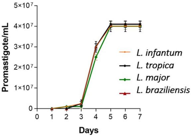 https://cdn.ncbi.nlm.nih.gov/pmc/blobs/3758/11946435/e809a24b97a1/pharmaceuticals-18-00427-g005.jpg