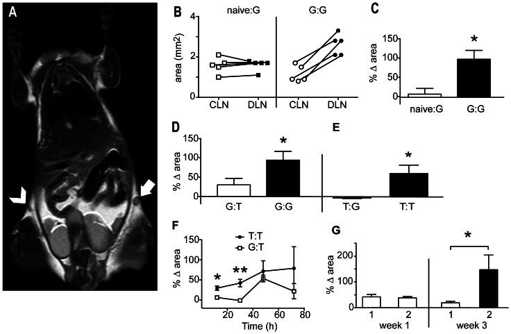 https://cdn.ncbi.nlm.nih.gov/pmc/blobs/3759/3667033/20a47d5b32b0/pone.0065318.g007.jpg