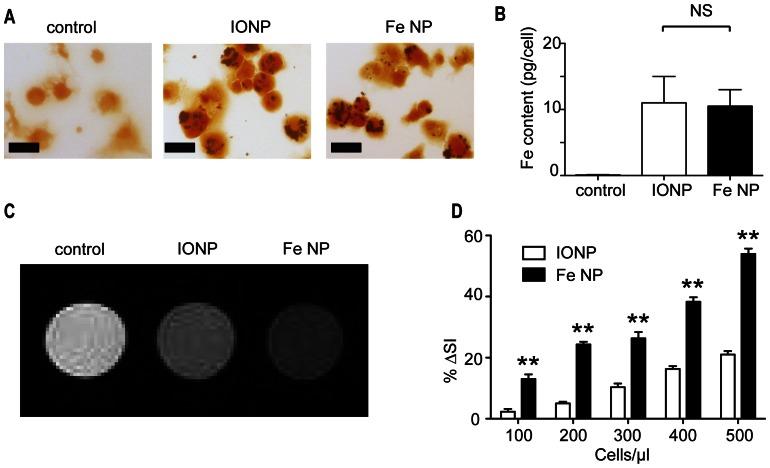 https://cdn.ncbi.nlm.nih.gov/pmc/blobs/3759/3667033/ba03640a0a0c/pone.0065318.g001.jpg
