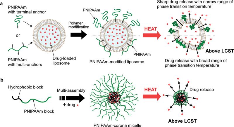 https://cdn.ncbi.nlm.nih.gov/pmc/blobs/375b/11934171/ea42b01b20b7/TSTA_A_2475736_F0003_OC.jpg